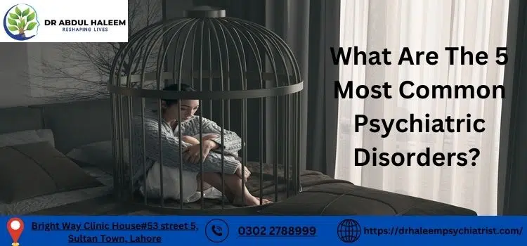 What are the 5 most common psychiatric disorders